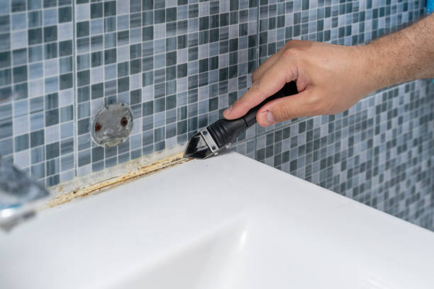 Best Certified Mold Removal  in Nettleton, MS