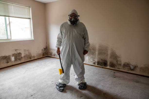 Best Fast Mold Removal  in Nettleton, MS
